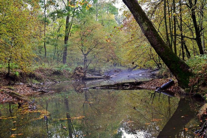 Make An Easy Detour To Nearby Little River Reservoir