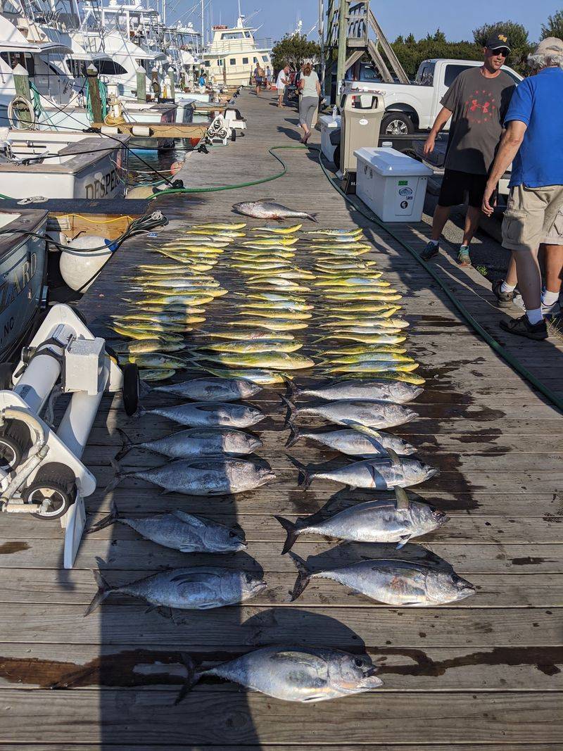 This North Carolina Outer Banks Town Is Exploding With Summer Energy This Week And It All Centers Around One Famous Marina - Decor Hint Head To The Docks When The Fleet Returns Each Afternoon