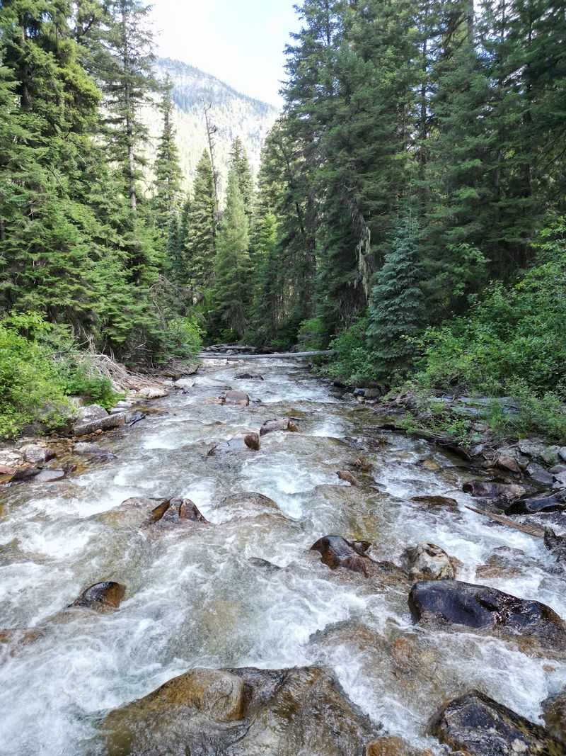 Cross Rivers And Forests With Few Signs Of Development