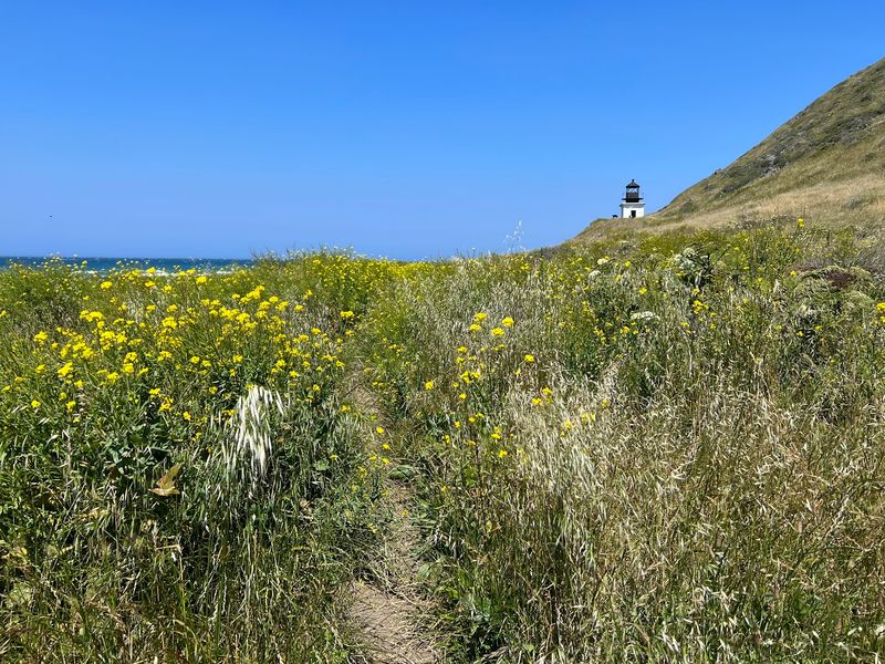Explore The Upland Wilderness Trails