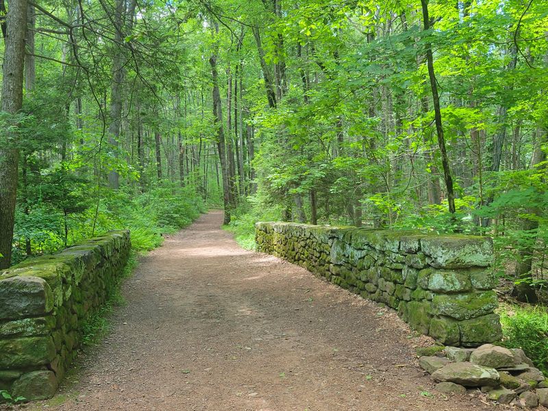 Plenty Of Shade For An August Hike
