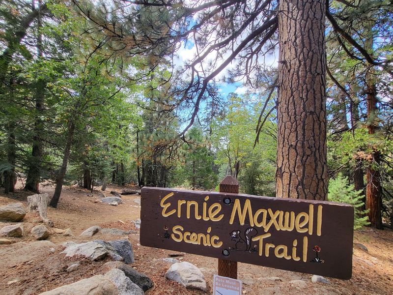 Ernie Maxwell Scenic Trail Keeps Things Easy