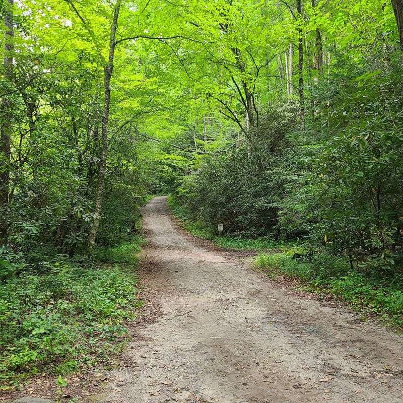 Bradley Fork Trail, Cherokee, North Carolina
