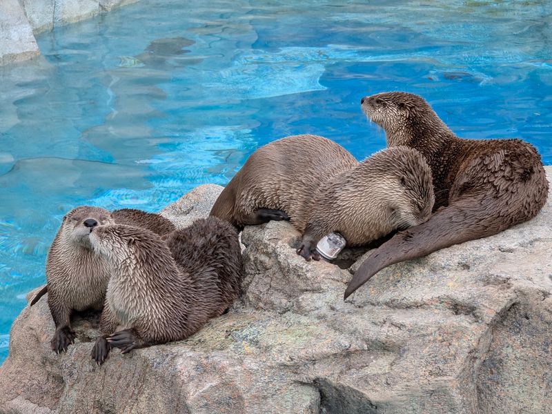 Conservation At The Core Of Everything