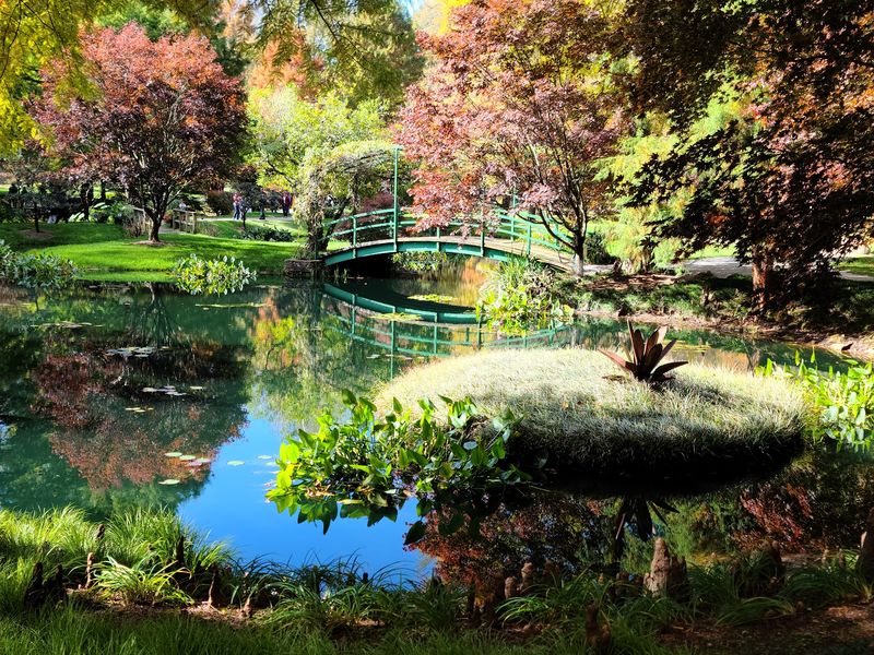 Where Art Meets Nature