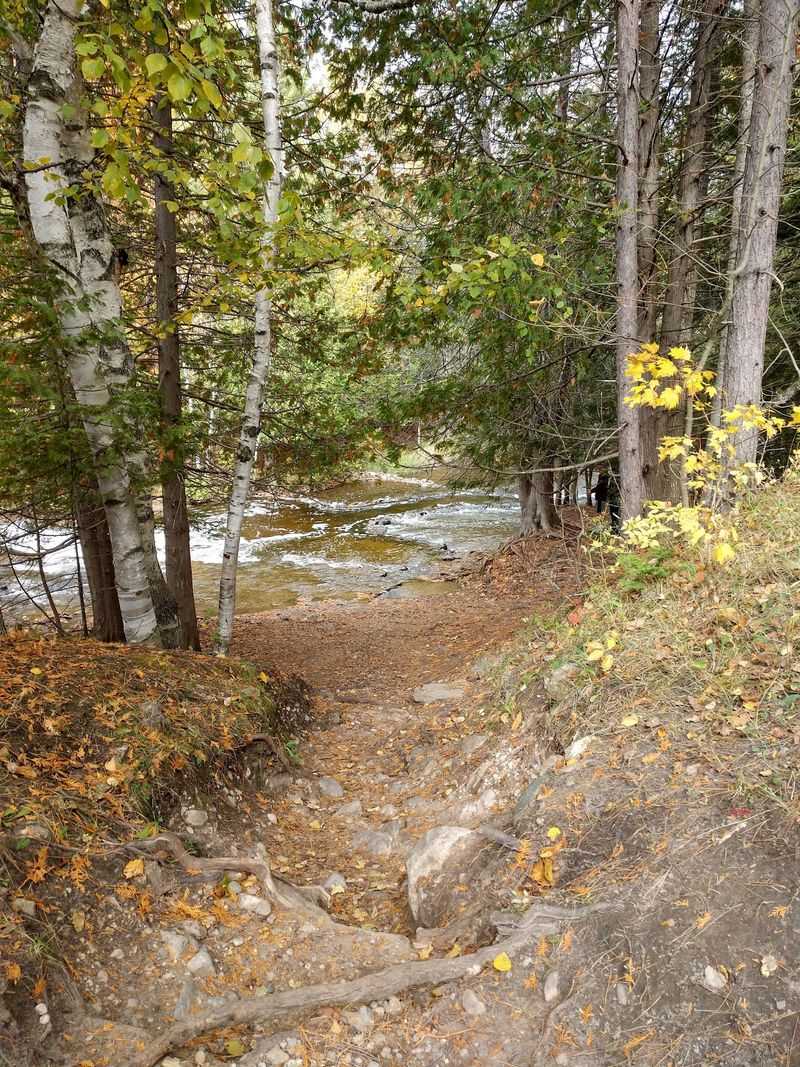 Bicentennial Pathway Trails Through The Pines