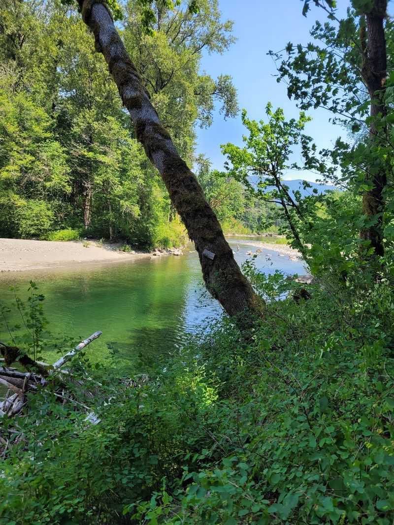 Side Trails Worth Exploring