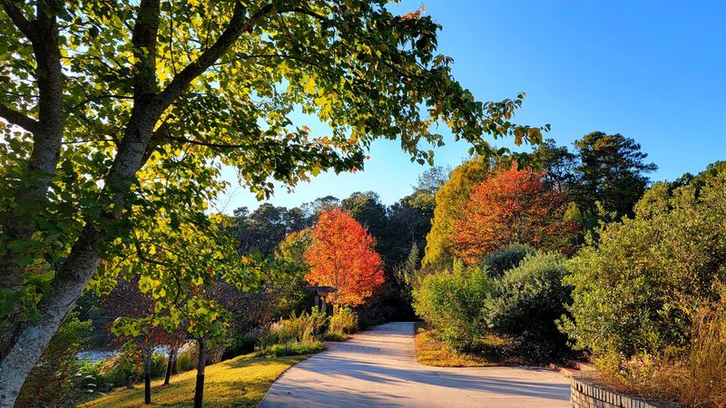 A Paved Loop Built for Comfortable Walking