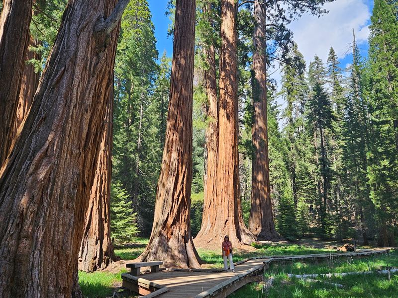 Events Spread Across Two Neighboring Parks