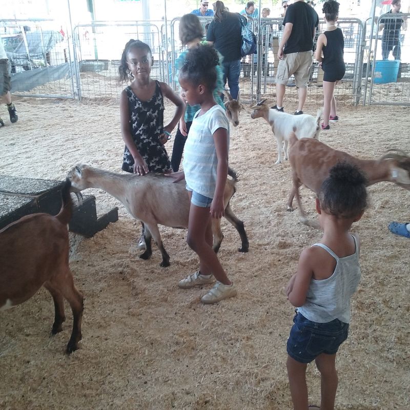 Meeting Animals Up Close