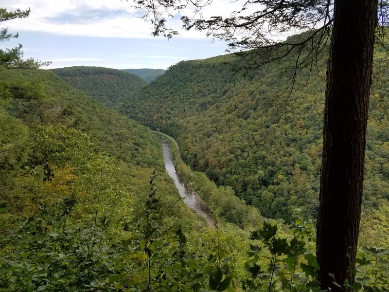 PA Grand Canyon (Pine Creek Gorge), Wellsboro