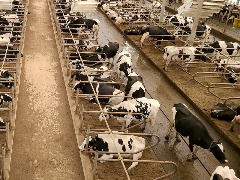 This Indiana Farm Destination Lets You Meet Animals, Explore Scenic Grounds, And Stay Overnight - Decor Hint Educational Exhibits Make The Experience Genuinely Memorable