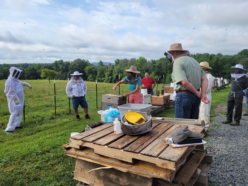 Bee Education Adds More To The Experience Than Simply Buying A Jar