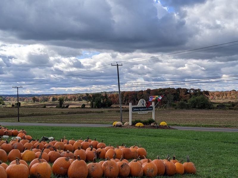 Pumpkins Take Over As Autumn Moves Along
