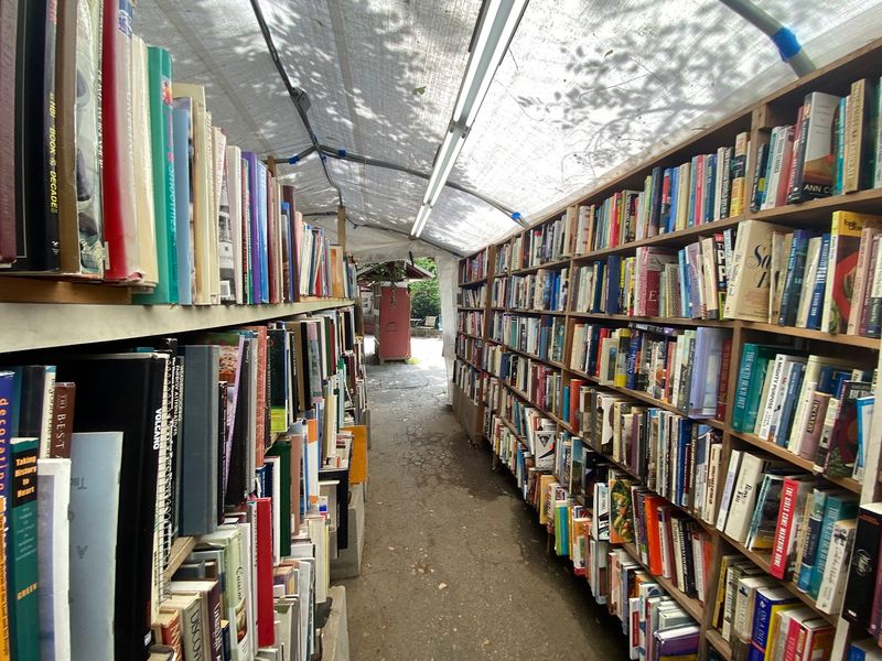 Rare Finds Beside Everyday Paperbacks