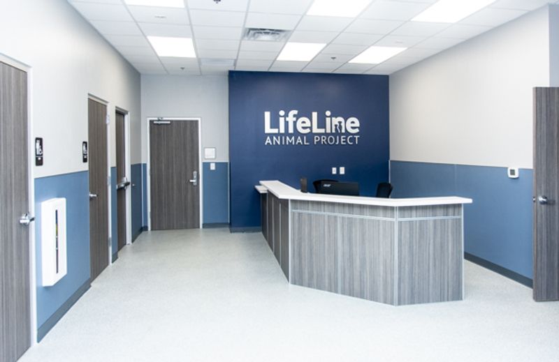 LifeLine Animal Project