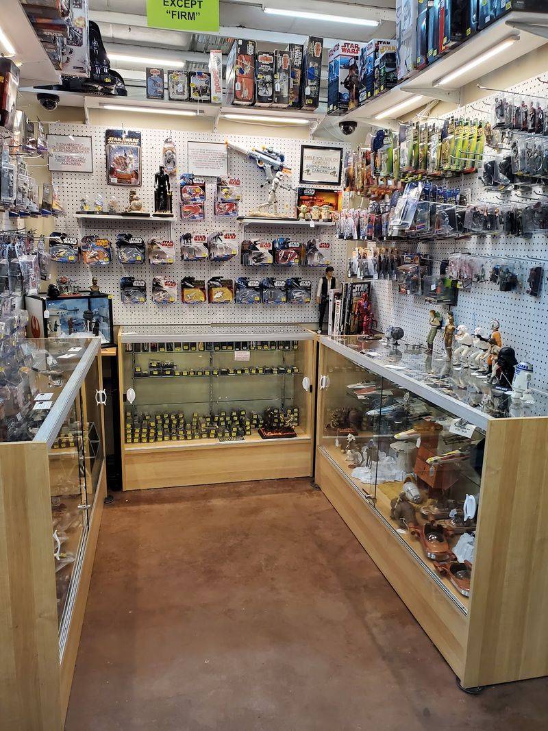 Glass Cases Packed With Small Wonders