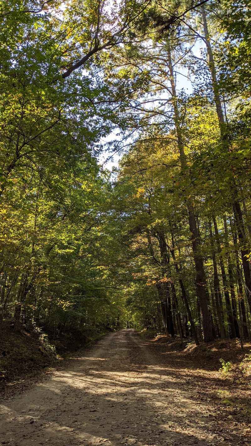 Company Mill Trail, William B. Umstead State Park, Raleigh