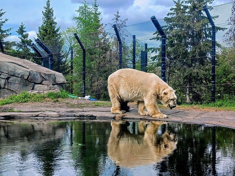 Why It Deserves A Spot On Every Minnesota Bucket List
