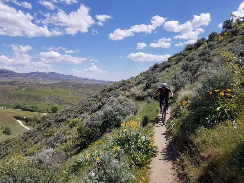 A Mountain Biker's Natural Playground