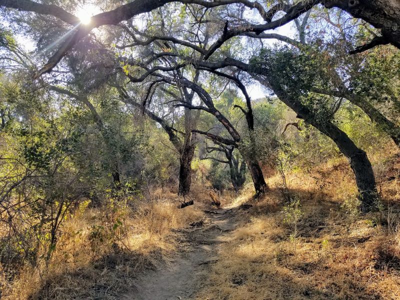 11 Stunning Southern California Day Trips That Cost Less Than $65 - Decor Hint Malibu Creek State Park, Calabasas