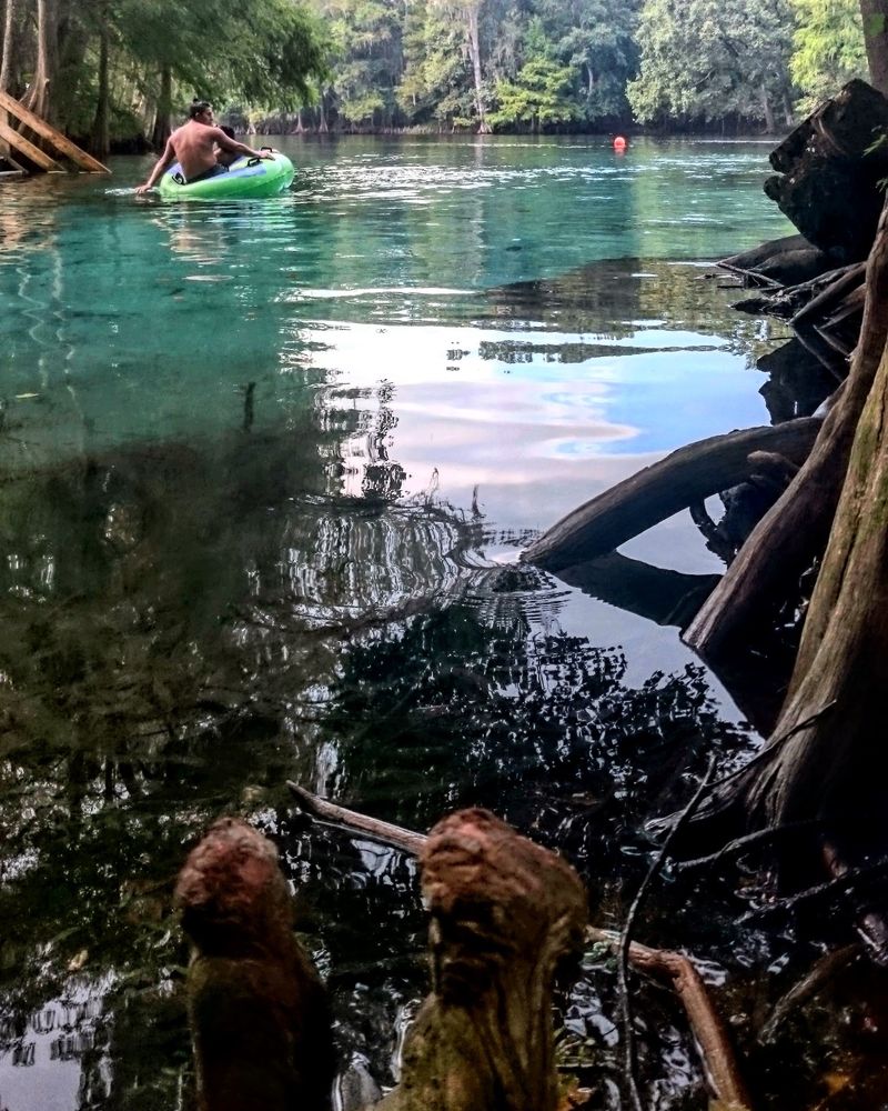 Paddling The Santa Fe River