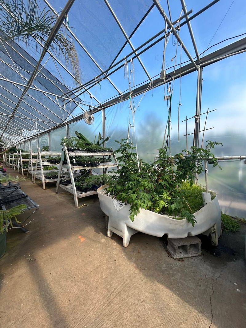 Check The Greenhouses For Finds You Did Not Know You Needed