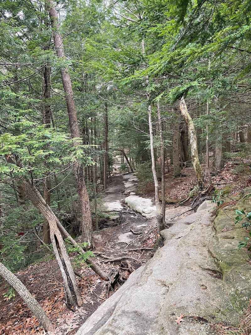 Conkles Hollow State Nature Preserve, Rockbridge