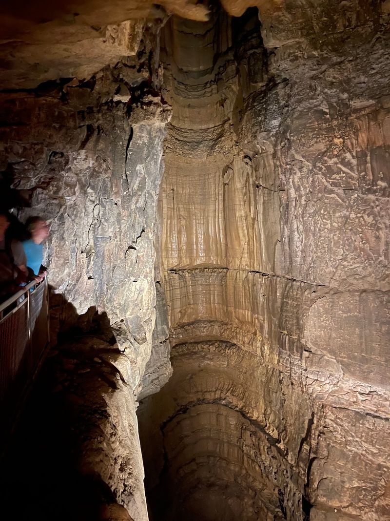 Scientists Keep Finding Ancient Sharks Inside Kentucky's Most Famous Cave - Decor Hint More Than 70 Kinds Of Ancient Fish In The Walls