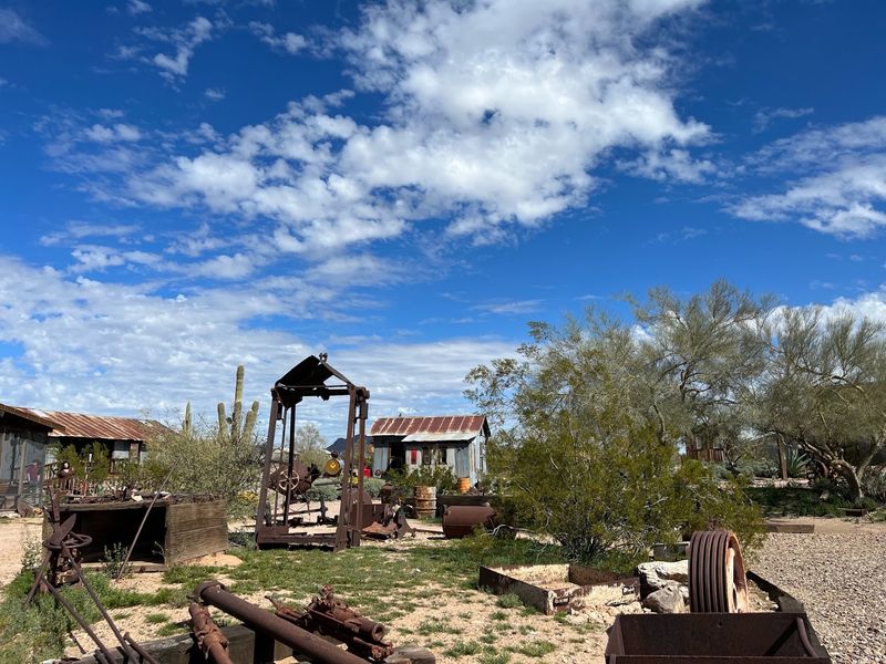 Sonoran Desert Sets The Stage
