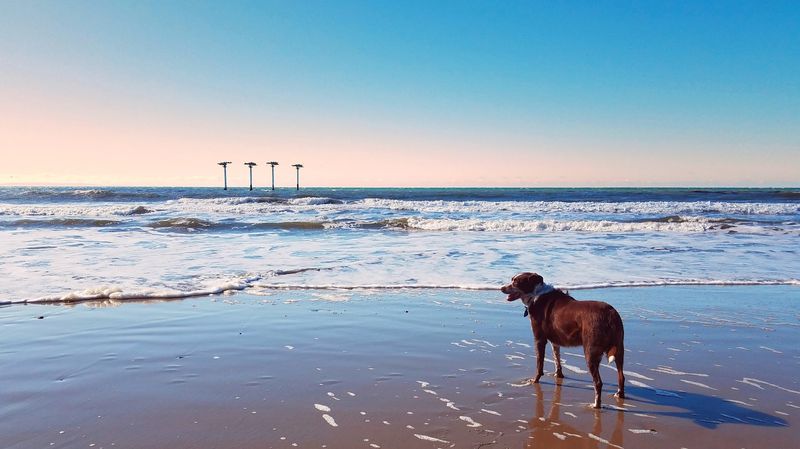 12 Of The Most Gorgeous Beach Spots In California's Santa Barbara For A Late Summer Swim - Decor Hint Haskell's Beach