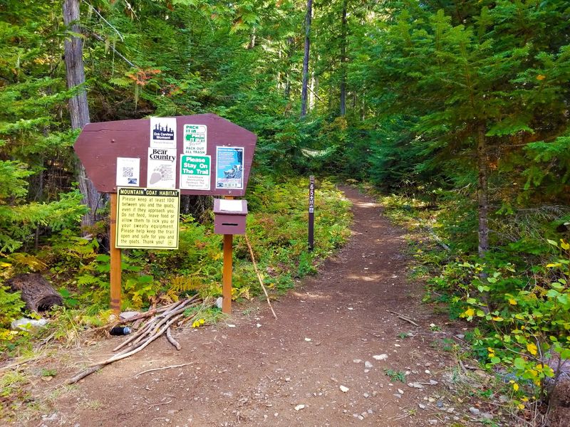 Scotchman Peak Trail, Clark Fork