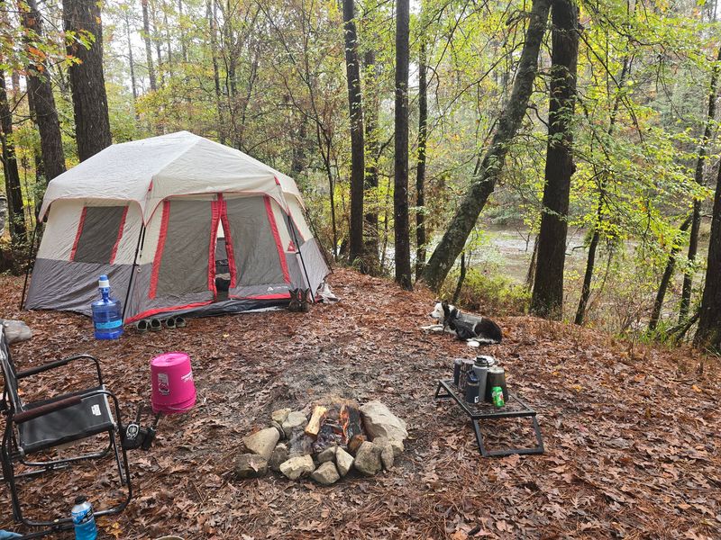 Kisatchie Bayou Campground, Provencal