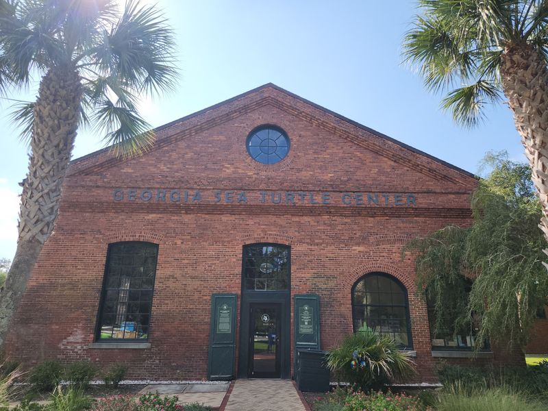Georgia Sea Turtle Center, Jekyll Island