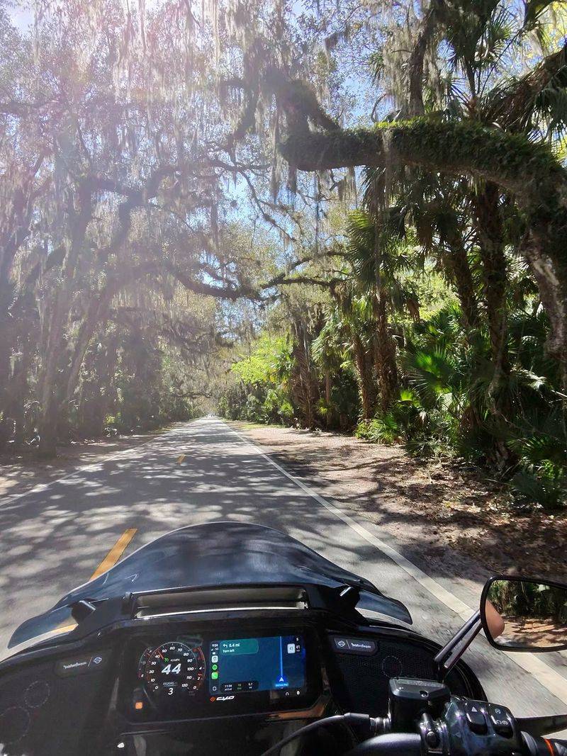 10 Scenic Florida Road Trips That Capture The Best Of The Sunshine State - Decor Hint Ormond Scenic Loop And Trail, Ormond Beach Area