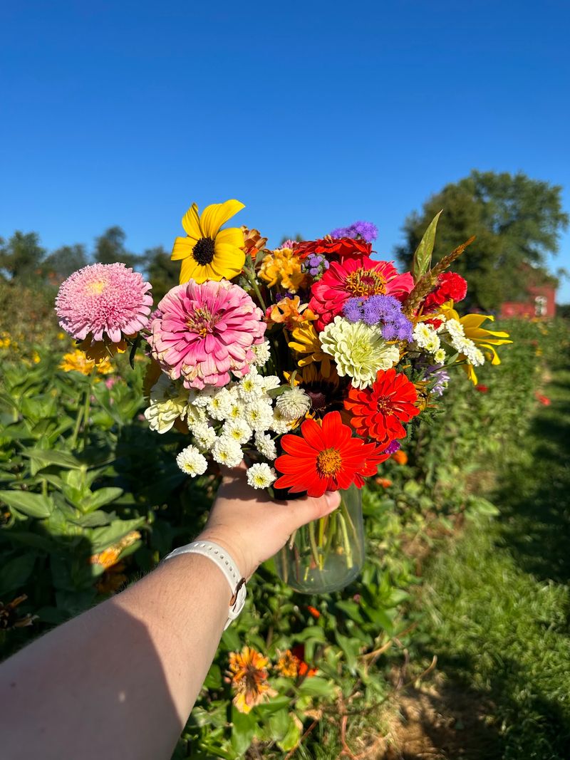 The Pick-Your-Own Flower Experience