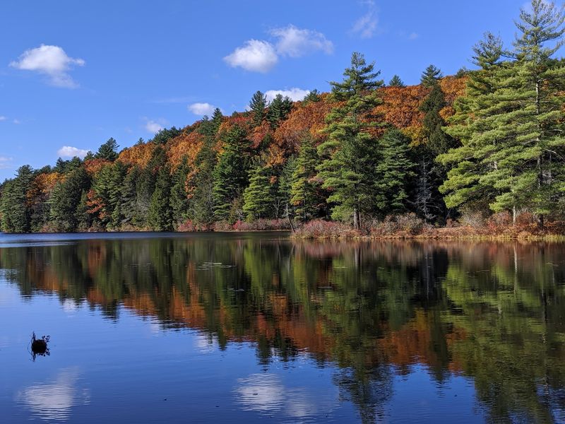 Bigelow Hollow State Park, Union