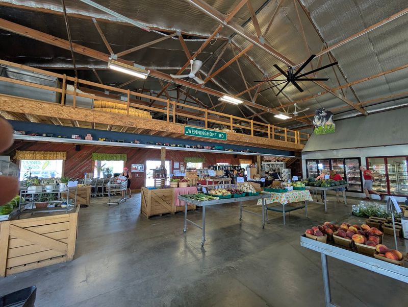 Summer Market Rainbow