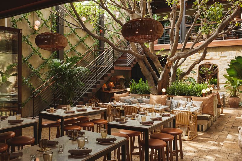 Mirate, Where Agave Meets Los Feliz Sunshine