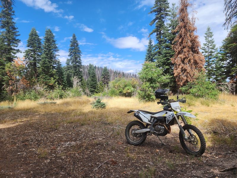 Welcome To This California Forest Where Even The Ticks Come With A Warning - Decor Hint Even Reaching The Camping Area Can Be An Adventure