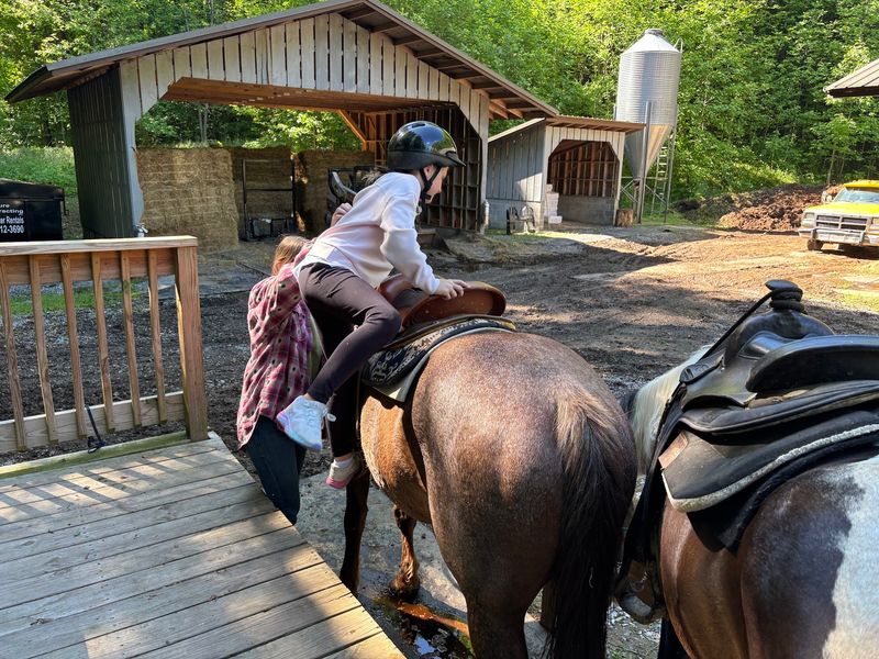 Rules Before You Saddle Up