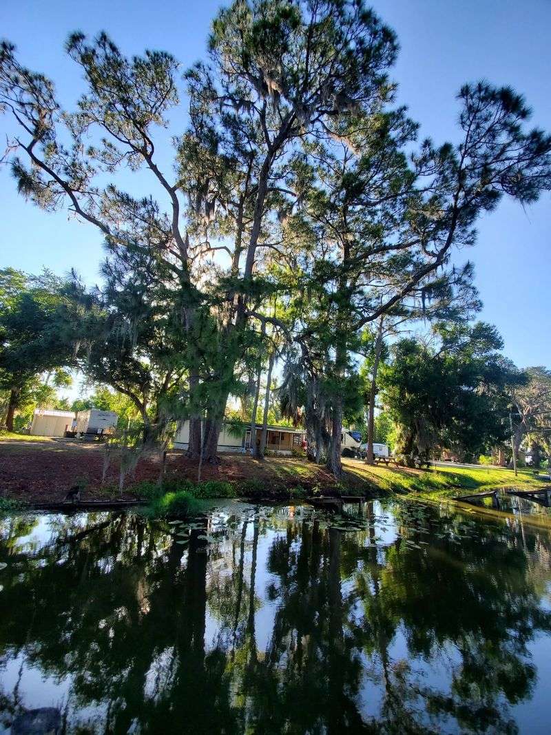 10 Scenic Florida Road Trips That Capture The Best Of The Sunshine State - Decor Hint Ridge Scenic Highway, Lake Wales To Sebring