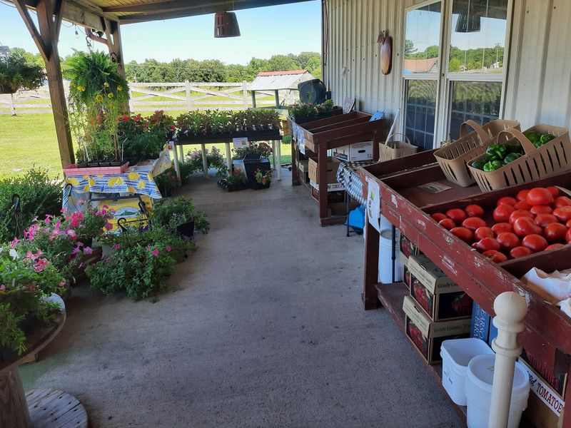 Spend A Slow, Simple Weekend In This Kentucky Amish Community - Decor Hint Farm Stands Loaded With Seasonal Produce