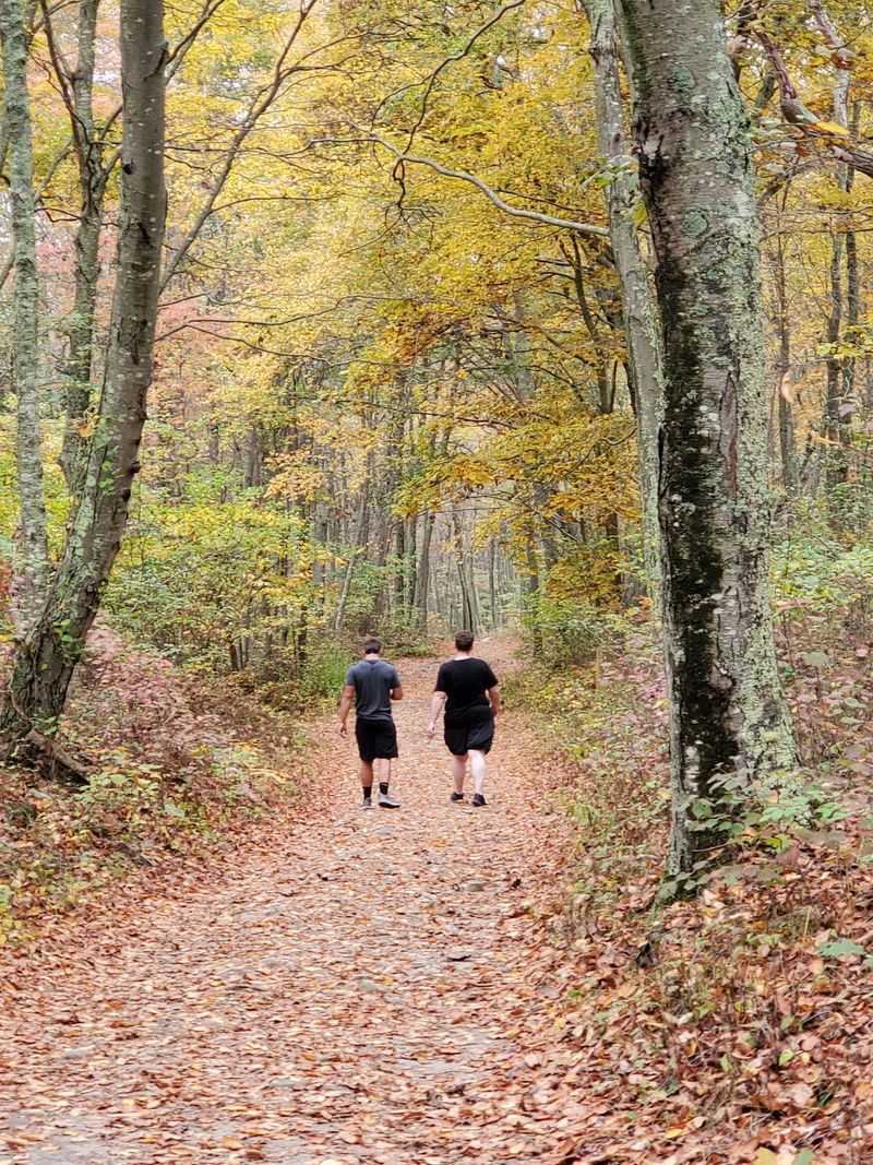 The Best Connecticut Coastal Spots To Soak Up The Last Days Of August - Decor Hint Bluff Point State Park