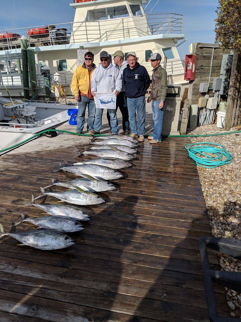 This North Carolina Outer Banks Town Is Exploding With Summer Energy This Week And It All Centers Around One Famous Marina - Decor Hint Catch The Weigh-In Action And See Which Crews Move Up The Standings