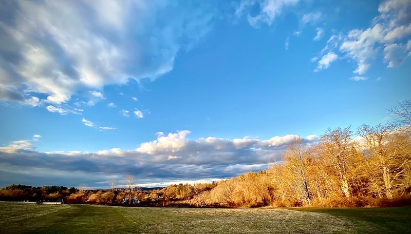 Seasonal Beauty Across The Landscape