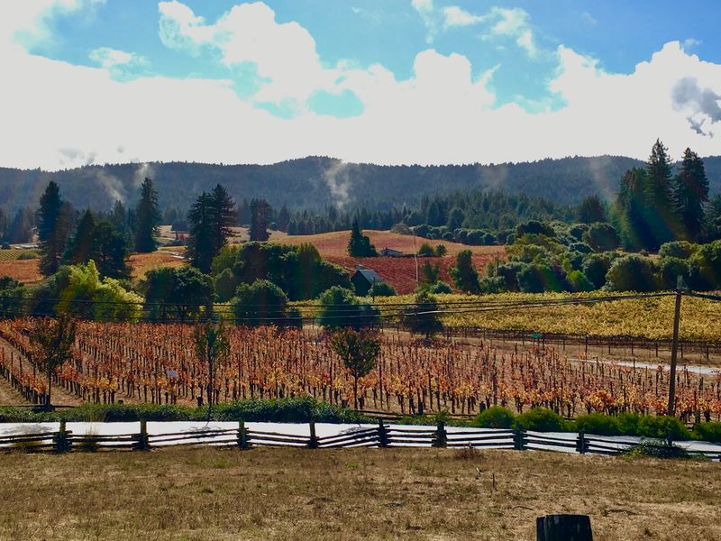 Highway 128 Through Anderson Valley, Boonville to Mendocino
