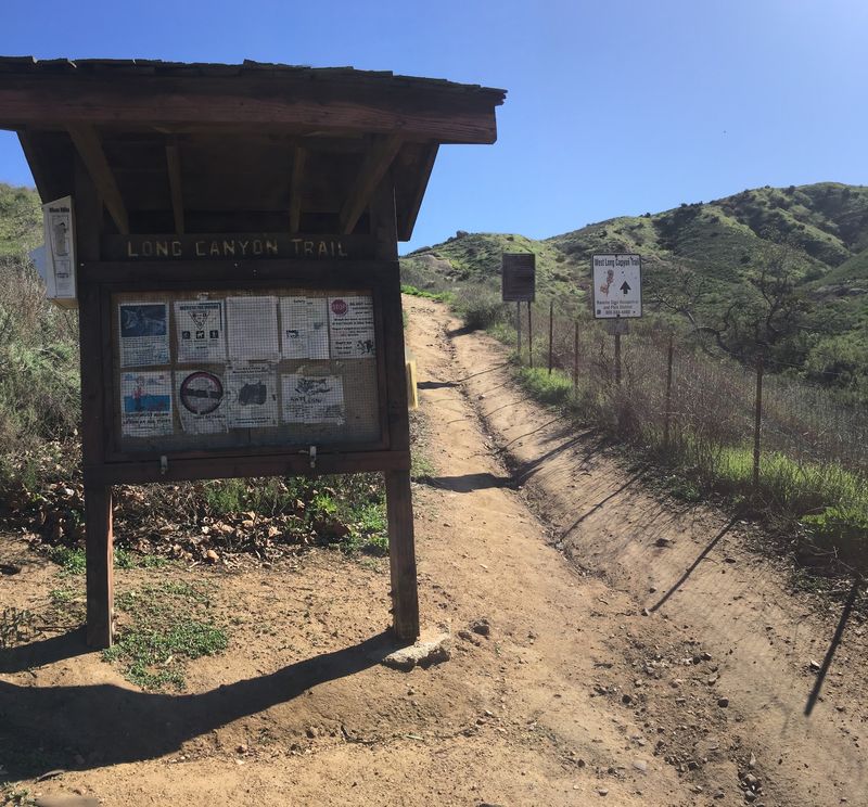 A Rattlesnake Bite On The Trail Triggered An Air Rescue