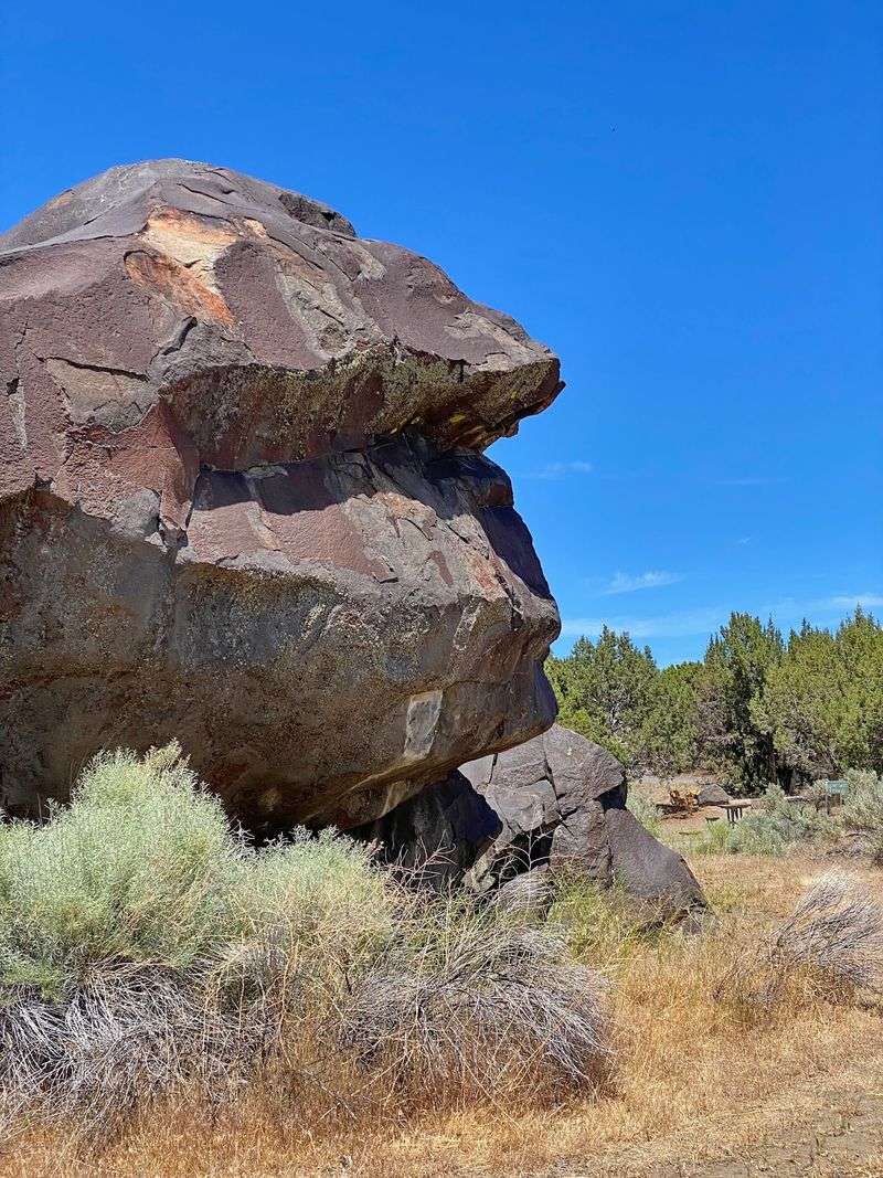 Wildlife Watching In High Desert Habitat