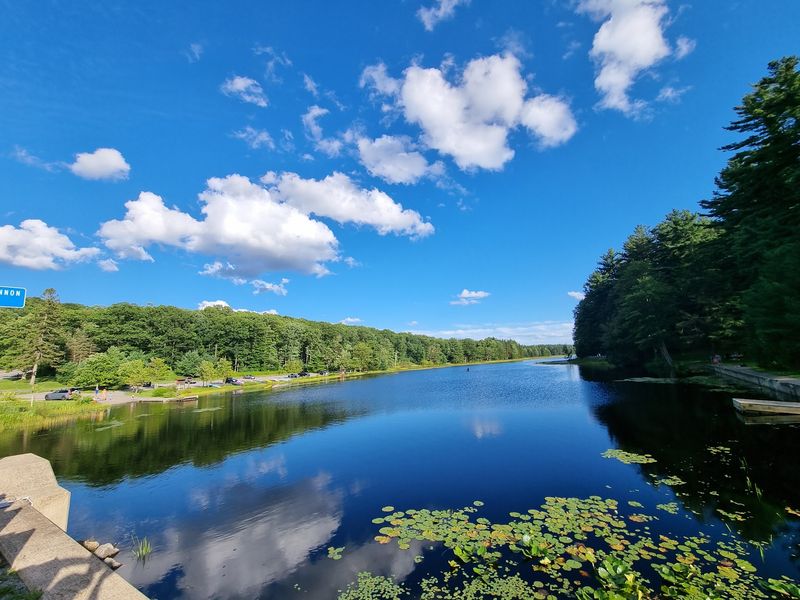10 Quiet Lakes in Pennsylvania That Are Perfect For A Weekend Escape - Decor Hint Black Moshannon State Park